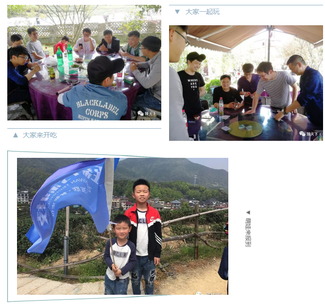 臻萬科技杭州龍塢尋茶一日游