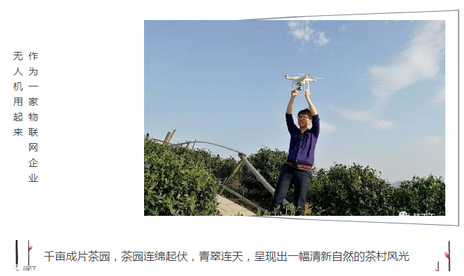 臻萬科技杭州龍塢尋茶一日游